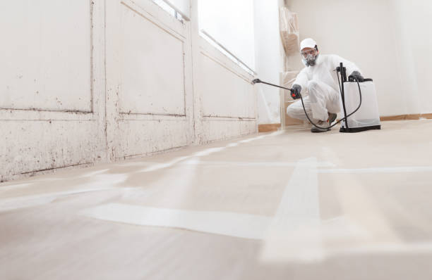 24/7 Emergency Black Mold Removal experts in Martinsville, NJ